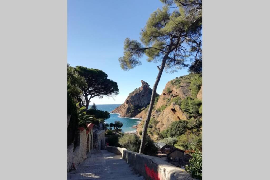 Le Repaire De La Cadiere A 5Mn Des Plages ! サン・シル・シュル・メール エクステリア 写真